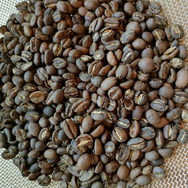 エチオピアイルガチェフェの豆
